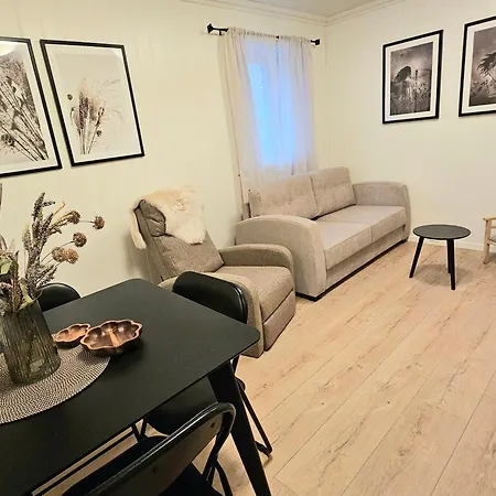 Апартаменты Fin 3-roms I Sentrum